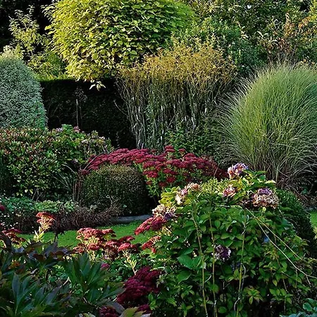 Pensionat Domaine Albizia