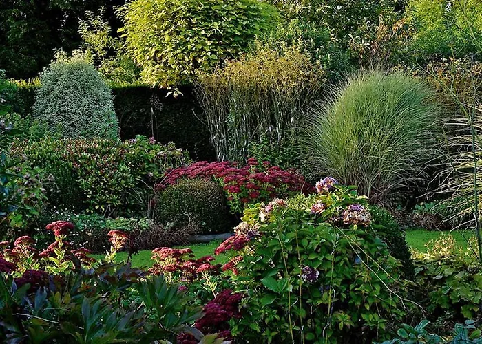 Pensión Domaine Albizia